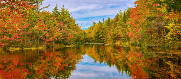 Autumn Splendor In Maine