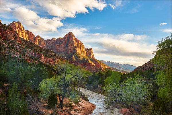 The Watchman Mountain at Zion National Park