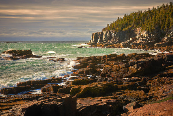 Coastline - Acadia National Park
